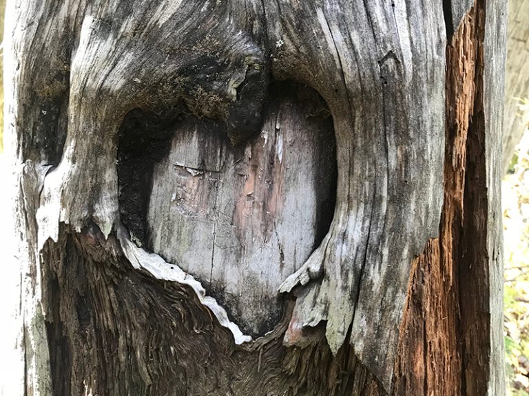 Meadow Lake Homeowners Association Just another Astra Starter